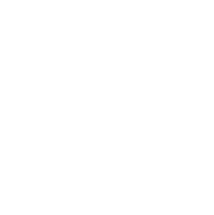 GSA Logo image